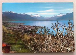 Vevey et les Alpes