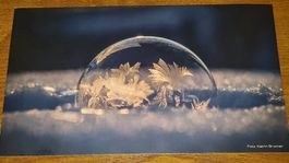 Grusskarte Weihnachten Winter Eiskristall