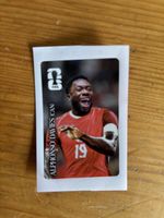 Panini coca cola davies