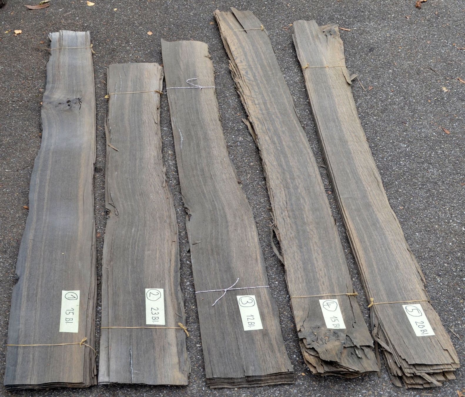 Articoli in legno: MOOREICHE FURNIER – Nuovo (secondo la descrizione) da Laupen ZH venduto da Coron
