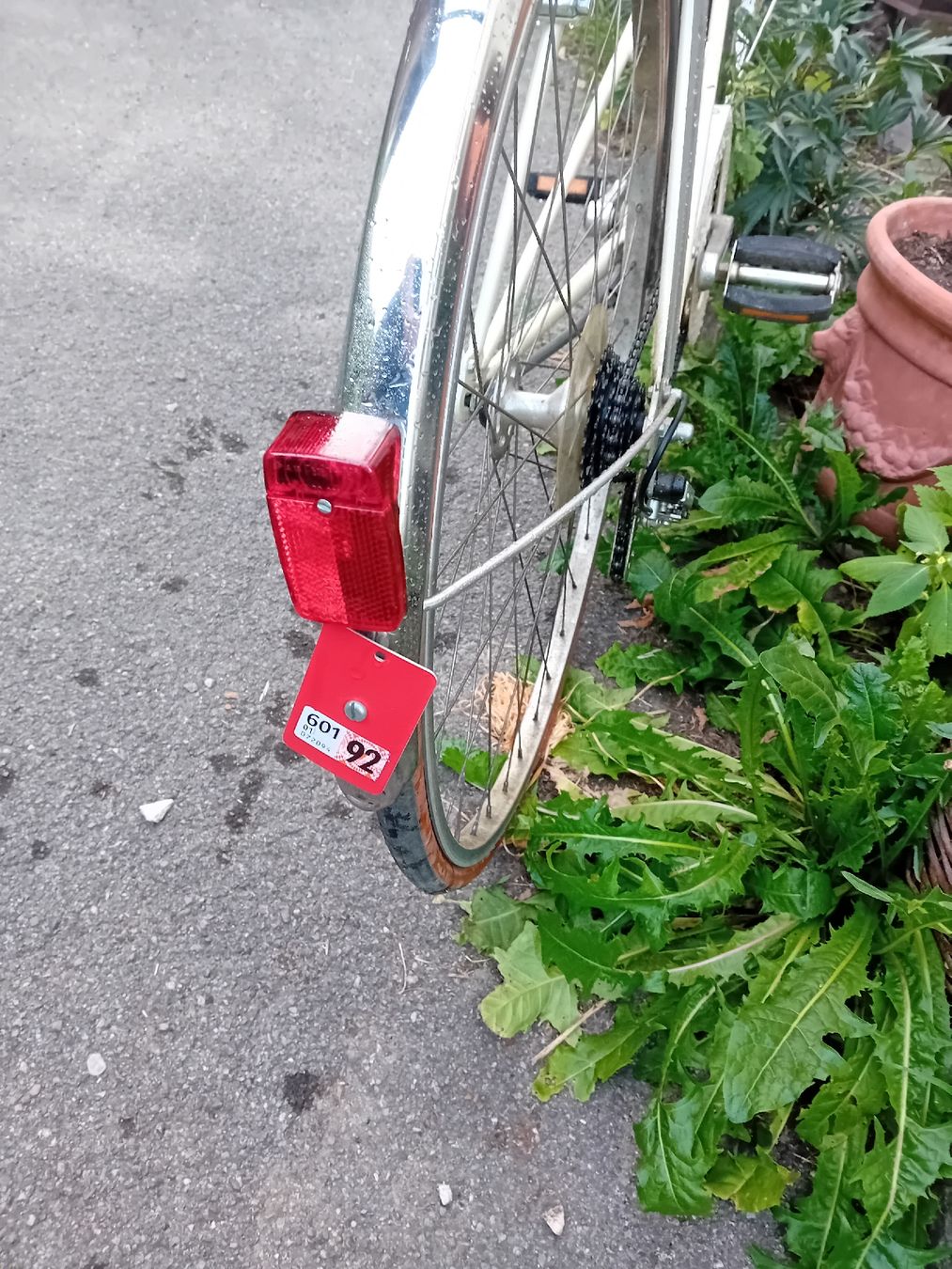Vélos: Velo – D'occasion à Horgen par von_g7nl 1