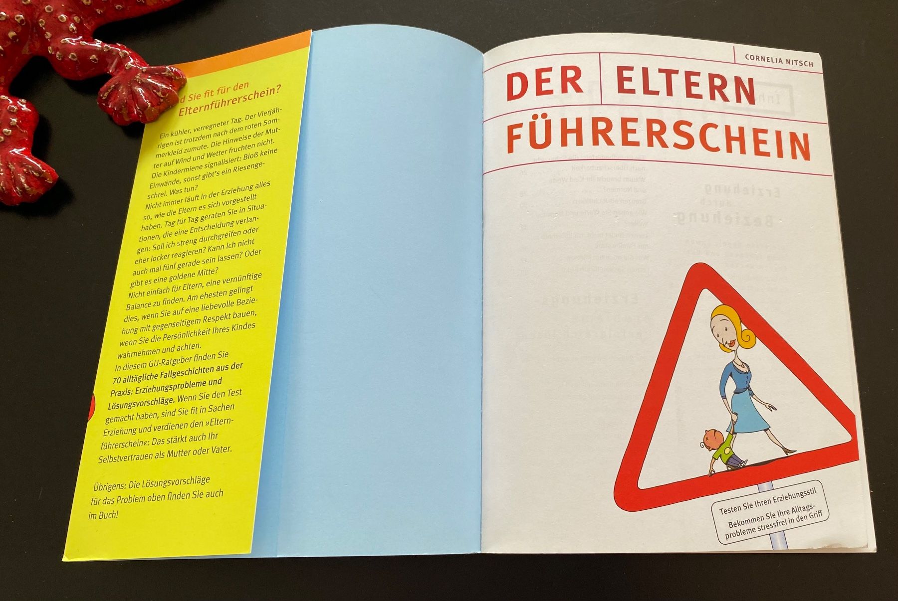 Libri: DER ELTERN FÜHRERSCHEIN – Usato da Nussbaumen AG venduto da schuba2000 2