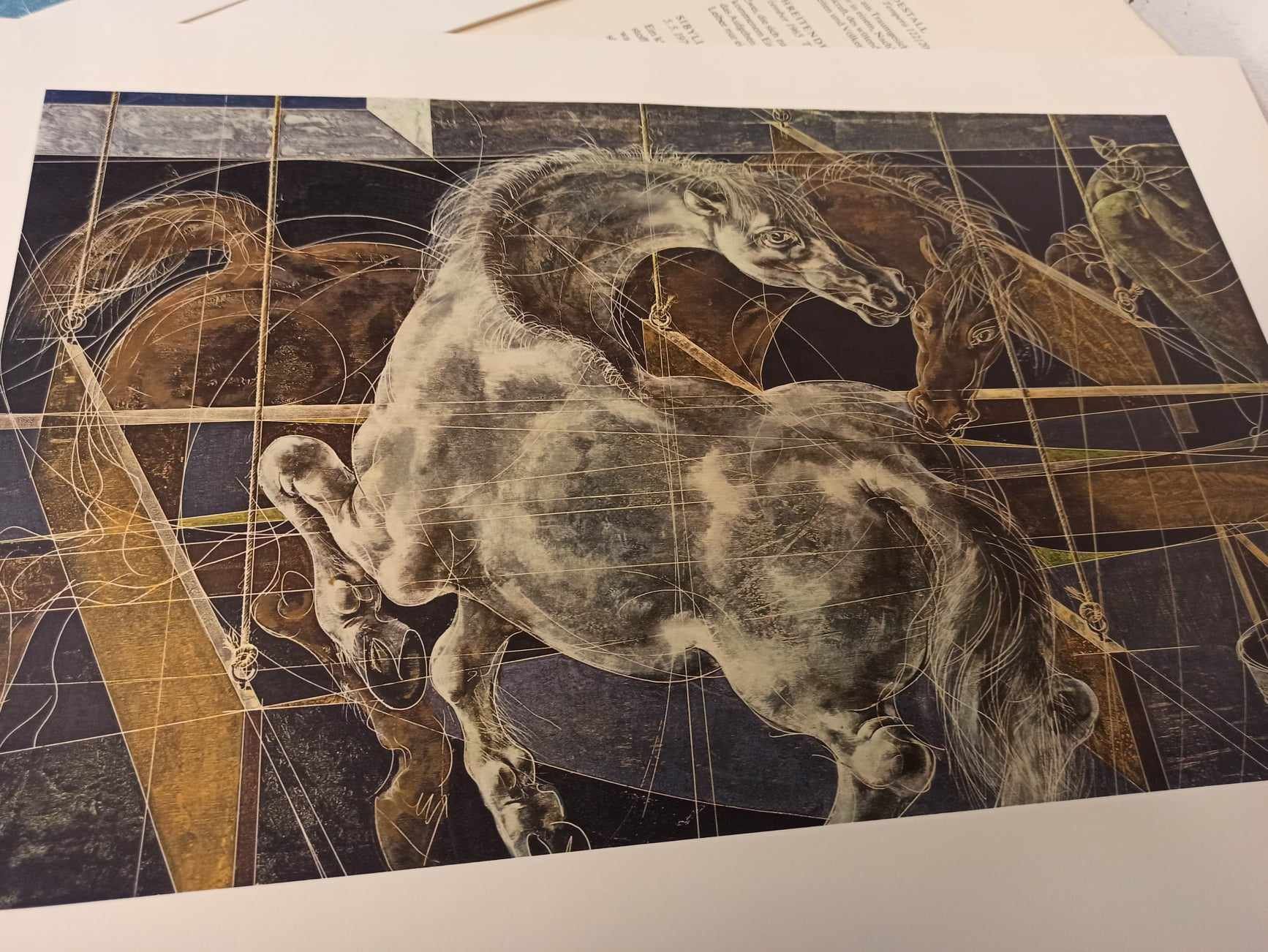 Grafica & Litografie: Hans Erni Lithographie – Usato da La Chaux-de-Fonds venduto da Emmaus2300CDF 9