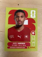 Panini SUI 7