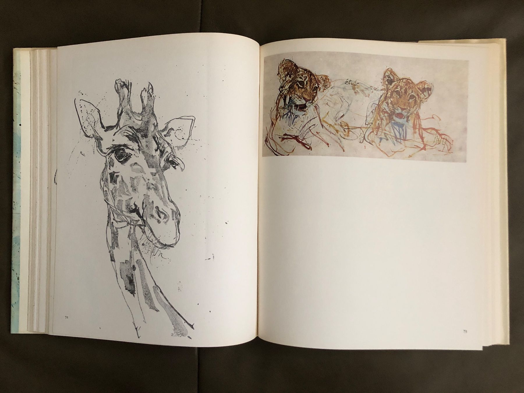 Libri: Buch Fritz Hug Maler der Tiere – Usato da Nunningen venduto da anclaudia 5