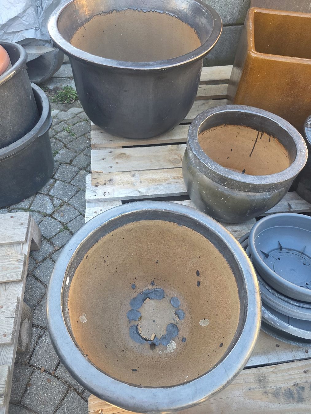 Pots de fleurs: Blumentopf – D'occasion à Chur par beni048 1