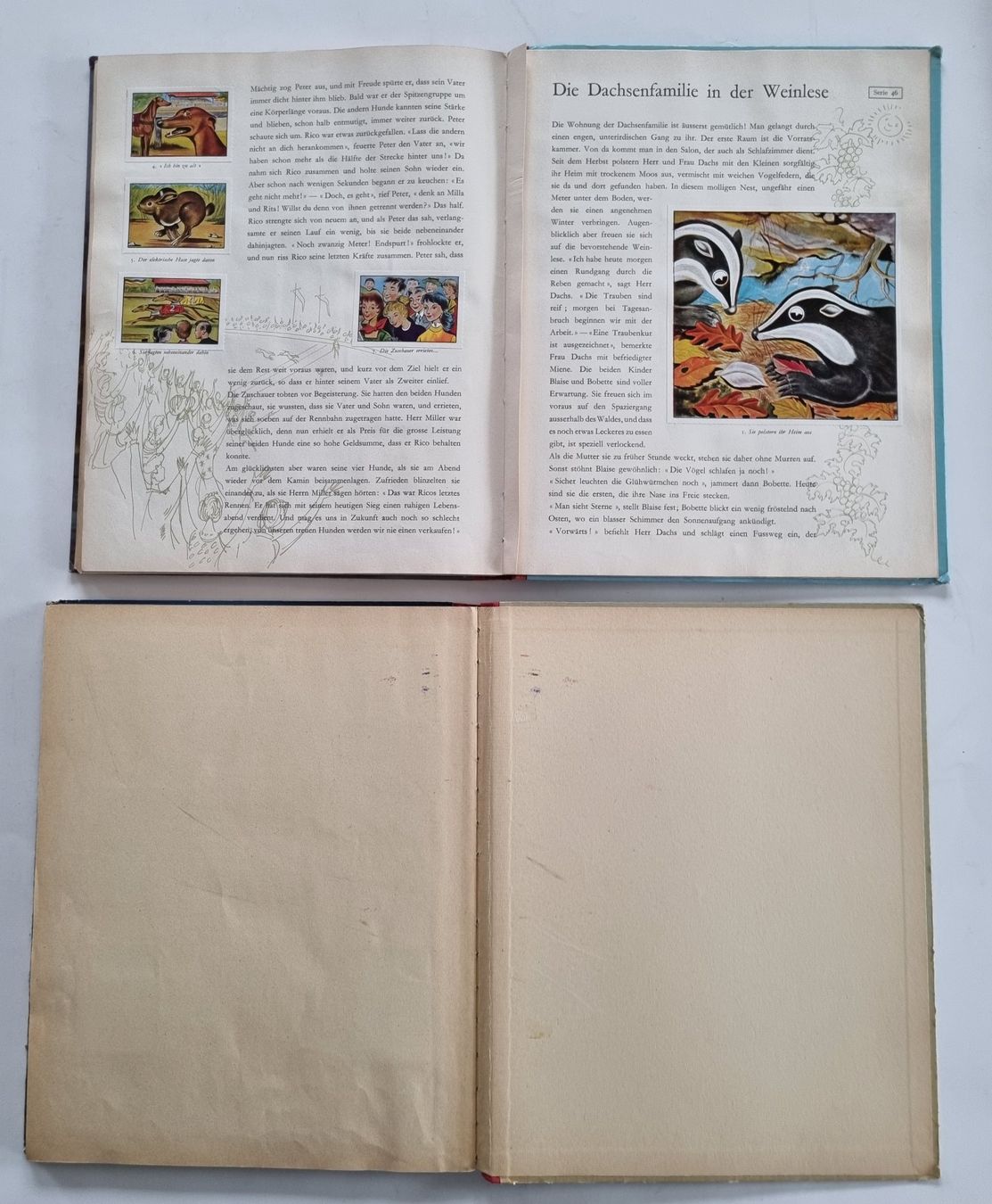 Libri: 2 nostalgische Tiermärchen-Bücher, Retro – Usato da Opfikon venduto da Diversamente 8