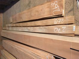 Ulmen Furnier Bund 270