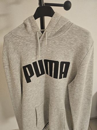 Puma Pulli