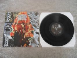 Brutal Truth – Perpetual Conversion