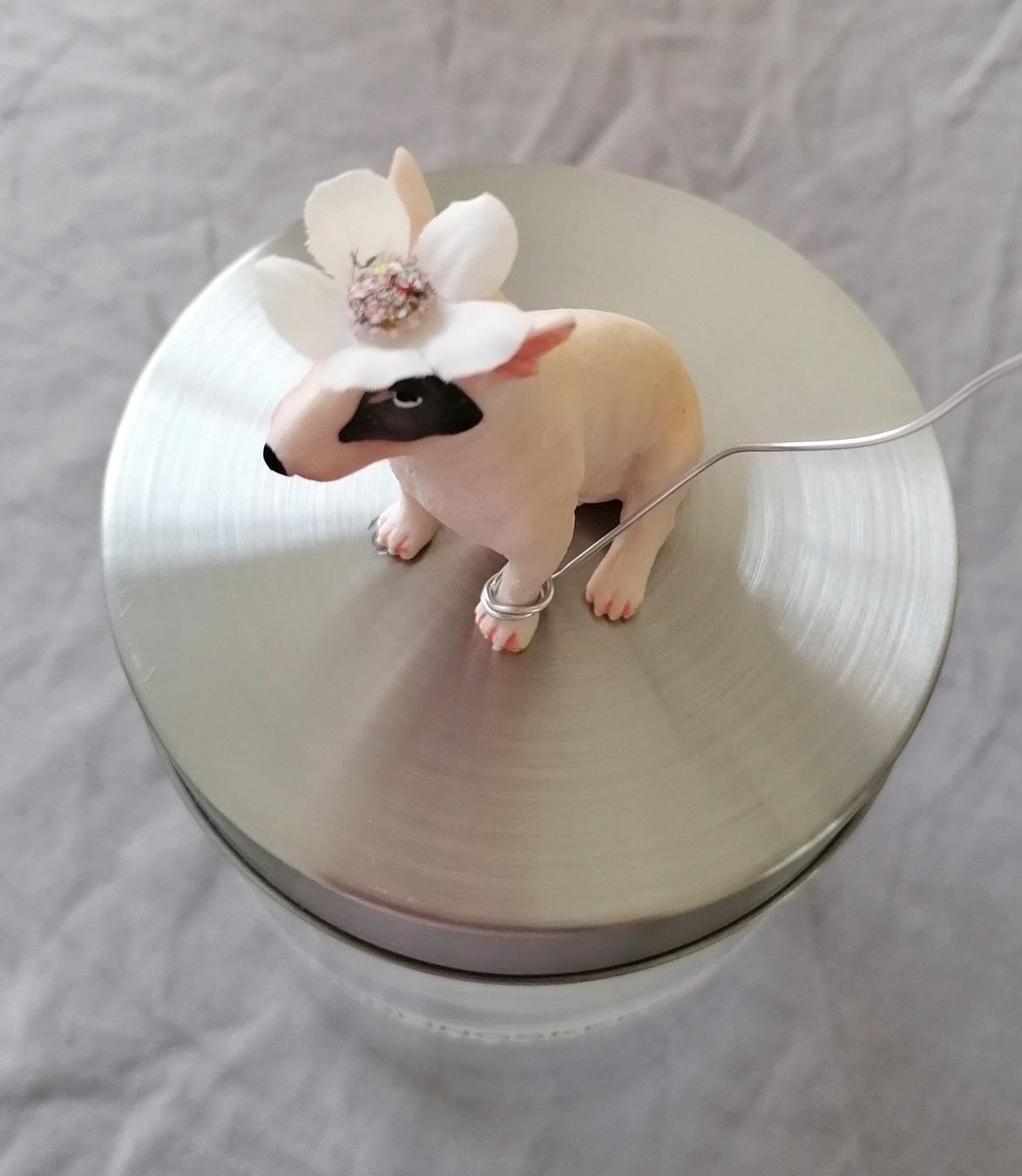 Bicchieri: Vorratsglas mit Hund – Nuovo (secondo la descrizione) da Wallisellen venduto da Muggeli1970 2