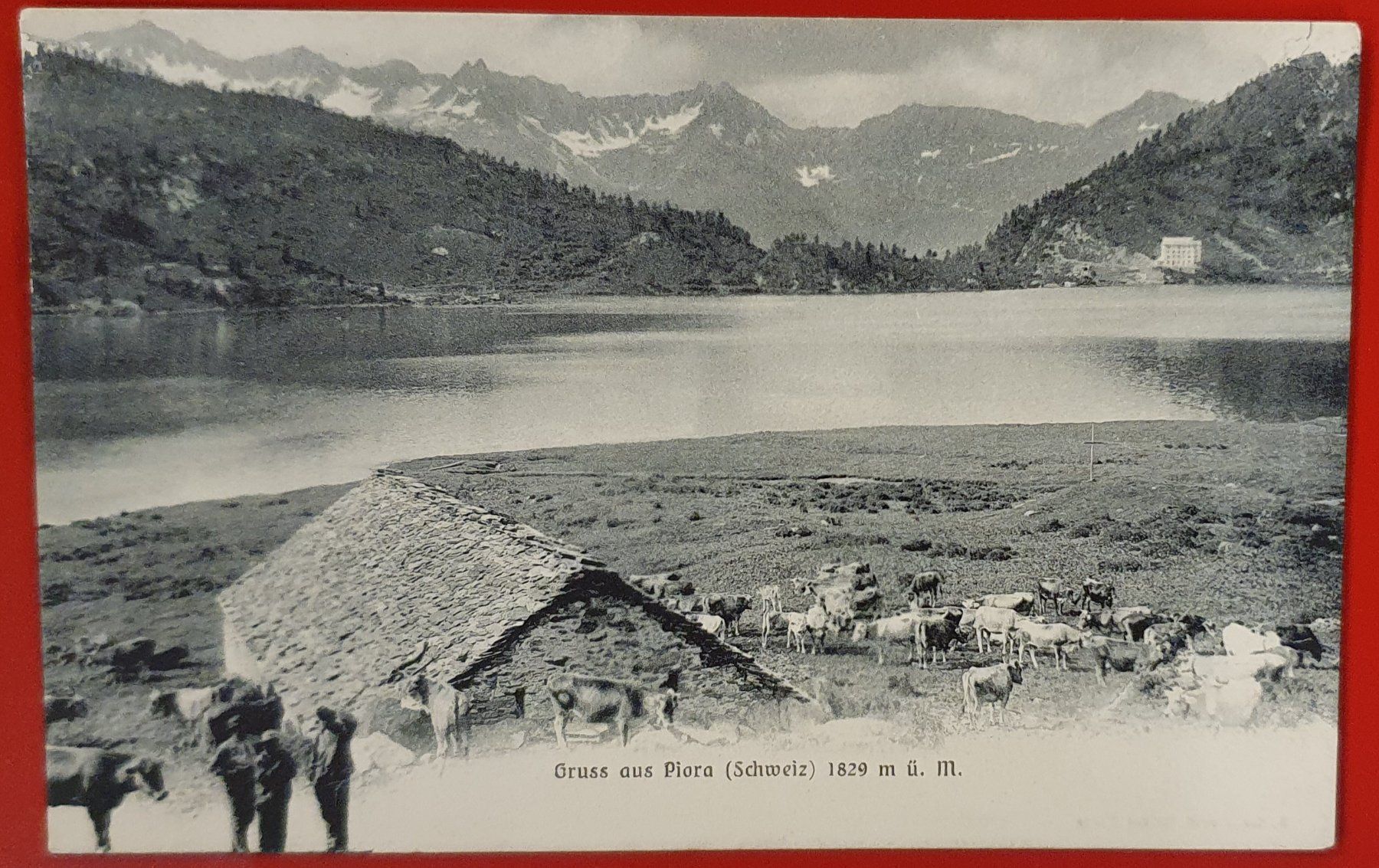Cartoline postali: Gruss aus Piora 1918 – Usato da Kreuzlingen venduto da Rschweiz1