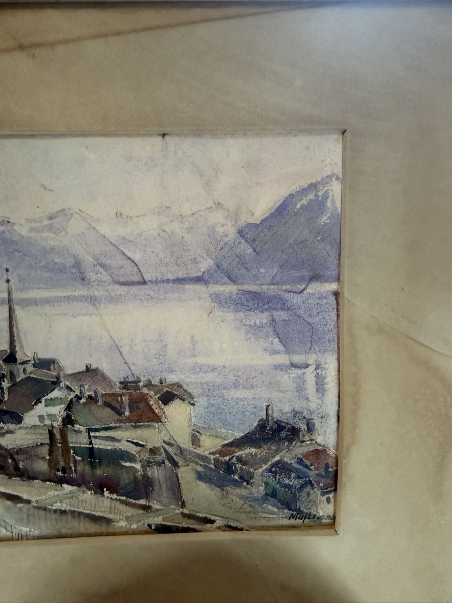 Dipinti: Walter Mafli aquarelle  – Usato da Fétigny venduto da lab_6dry 2
