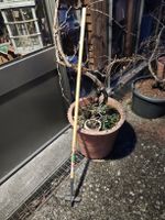 Gartenhacke