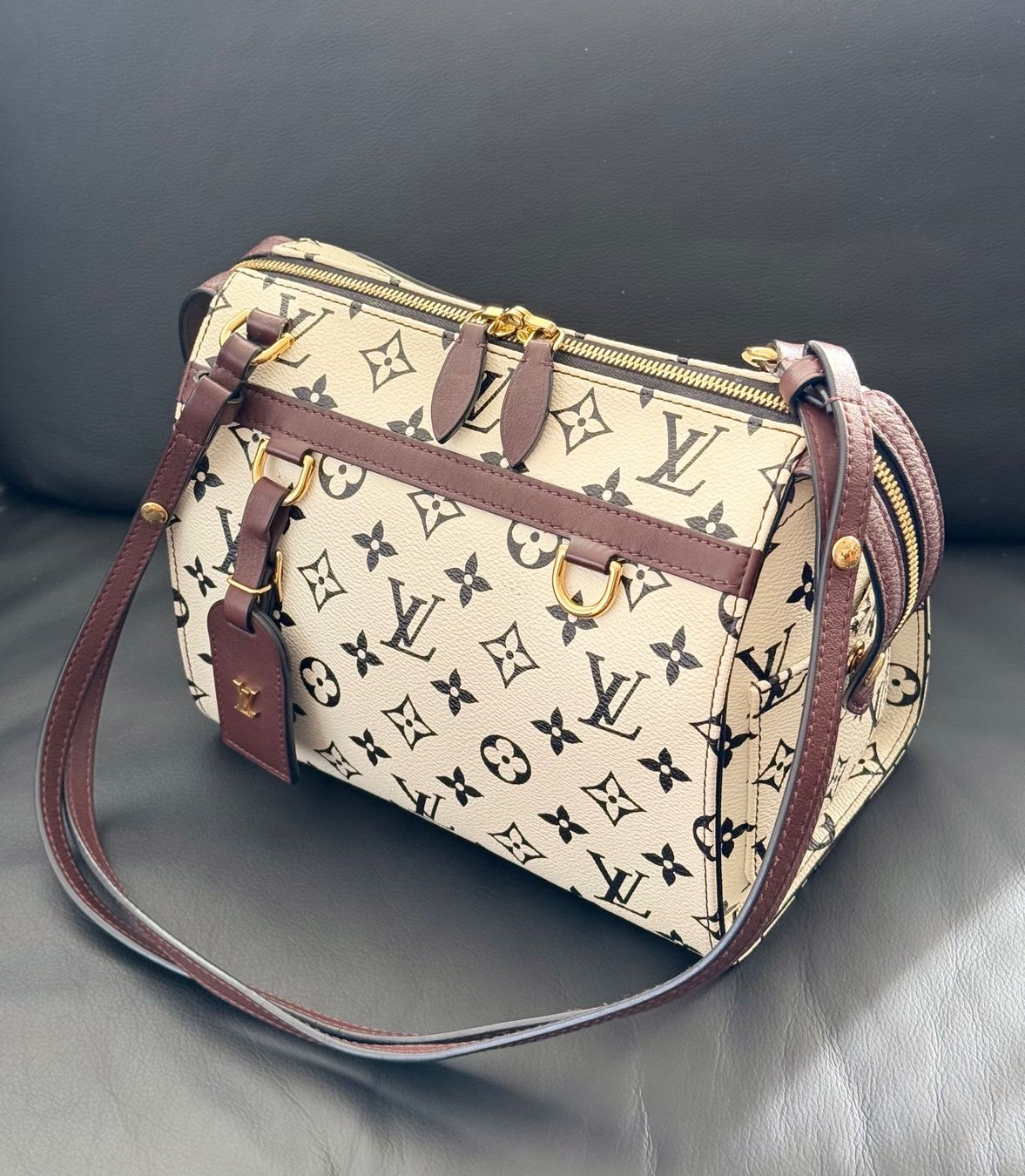 Louis Vuitton Borse da donna: Louis Vuitton Speedy Amazon PM – Usato da Reinach AG venduto da RobbisB