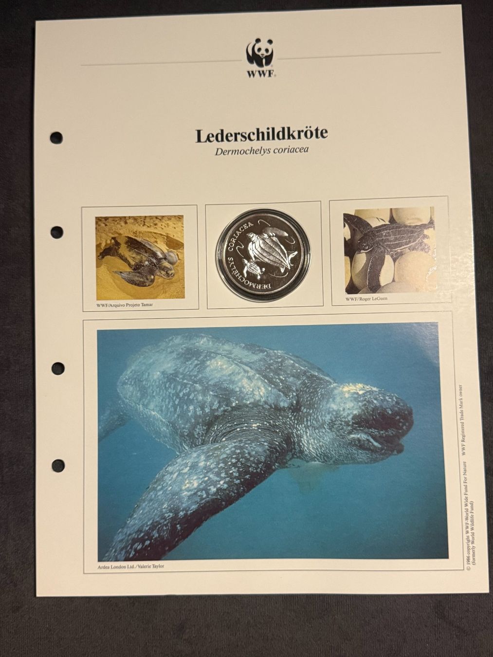 Tutti le monete: WWF Numisblatt - PP / 20 Gr. - 0.999 Silber – Nuovo (secondo la descrizione) da Arch venduto da Liam1919