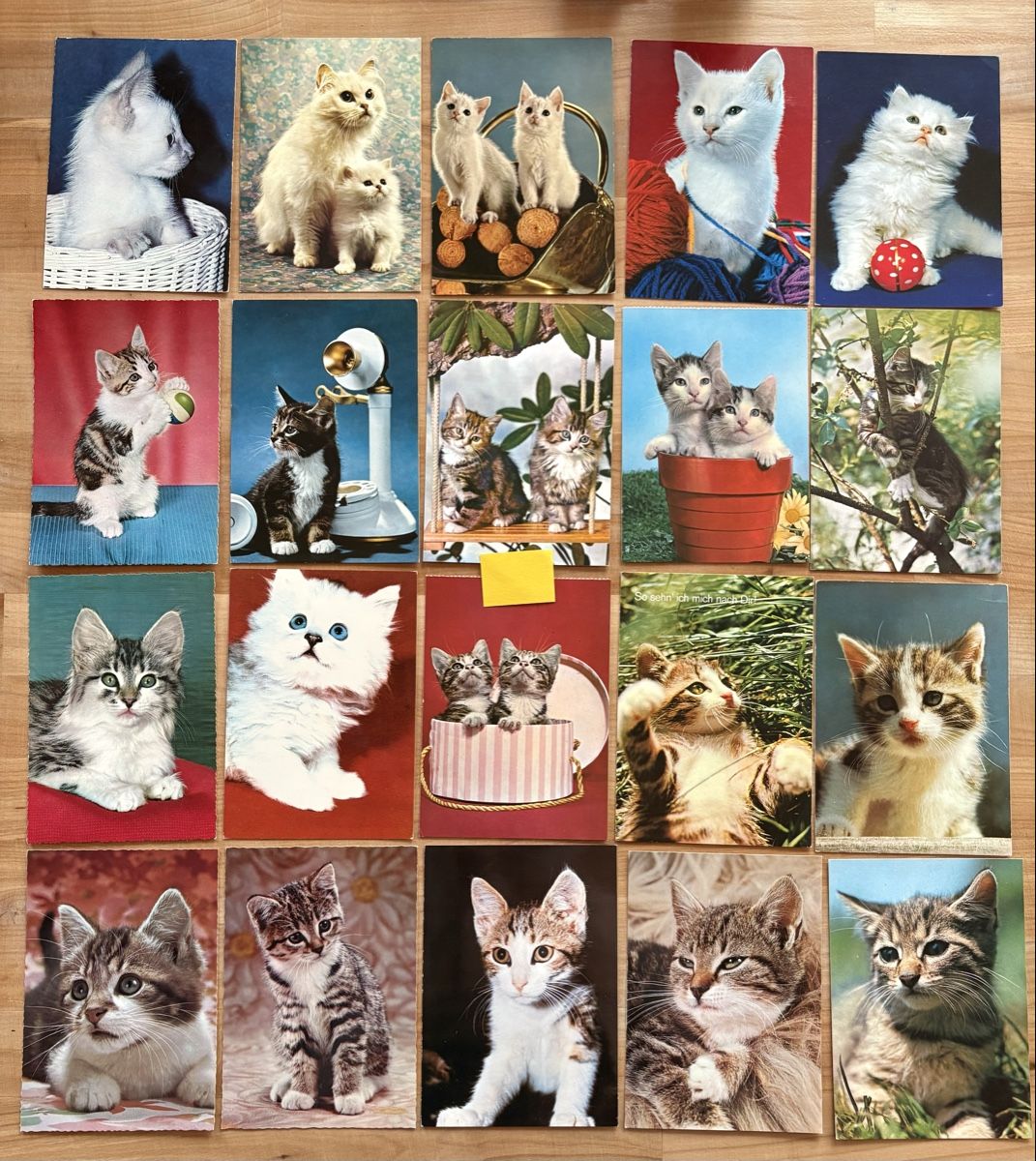Cartoline postali: 20 AK mit Katzen Motiv – Usato da Rümlang venduto da Kartenpost1