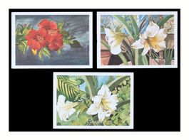 FLEURS - ANNÉES 1970 "Ursula Dreifuss" (Lot de 3x C.P.)