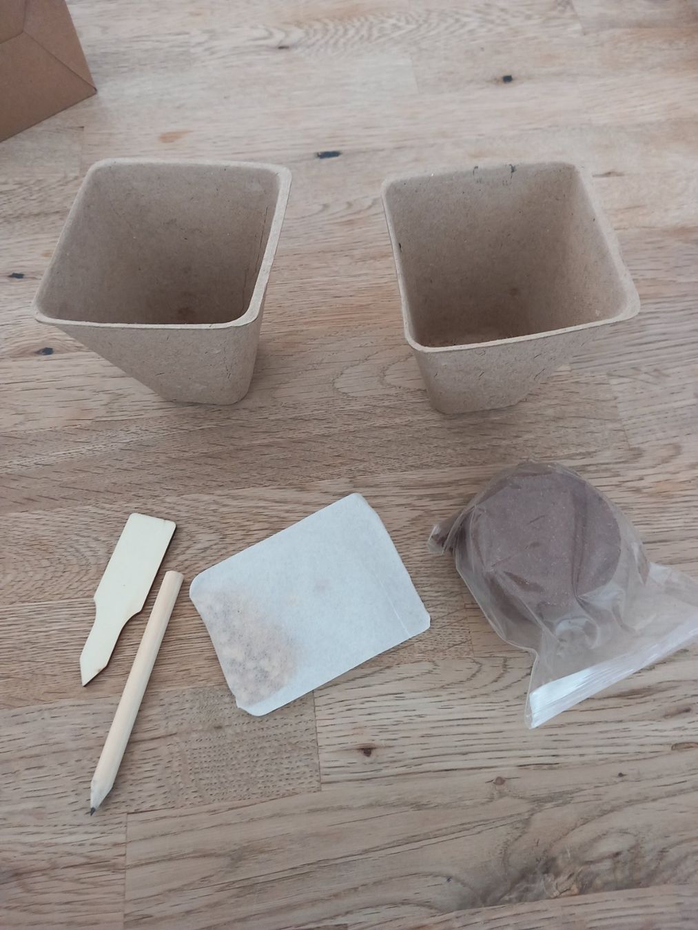 Piante & sementi: Pflanzen Samen Mojito  TOLLE GESCHENKIDEE – Nuovo e nell'imballaggio originale da Thun venduto da Beas-Allerlei 1