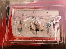 Rolf Knie  Circus Elefanten