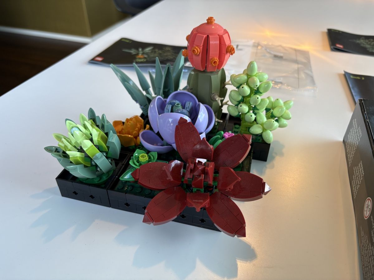 Lego Giocattoli: Lego botanical succulents / vollständig  – Usato da Zürich venduto da seb_8rsb