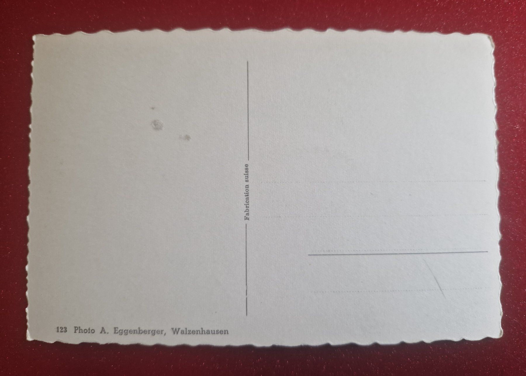 Cartoline postali: Luftkurort Walzenhausen, Bodensee – Nuovo (secondo la descrizione) da Melchnau venduto da Fishel 1