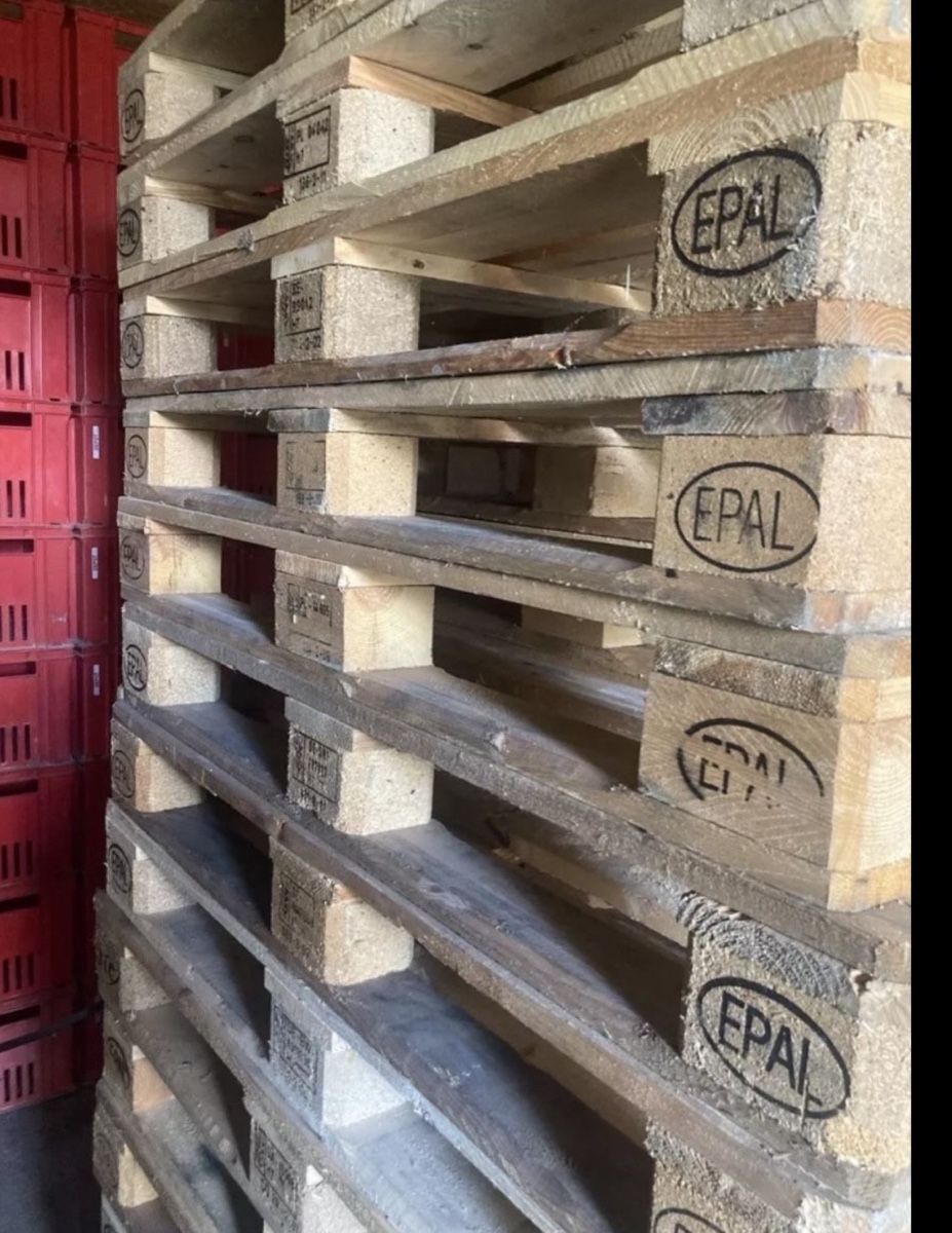 Paletten: Euro Palleten – Gebraucht aus Egerkingen von Jung-Unternehmer 1