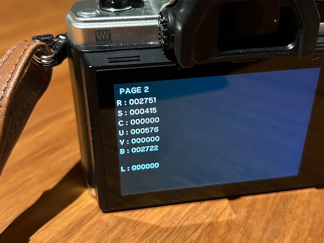 Olympus Fotocamera: Olympus OM-D E-M10II Limitierte Version Fuchsbraun – Usato da Röschenz venduto da Bijouxaddicted 5