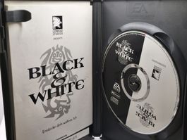Black & White Jeu PC CD-ROM Simulation Dieu Vintage Rare!