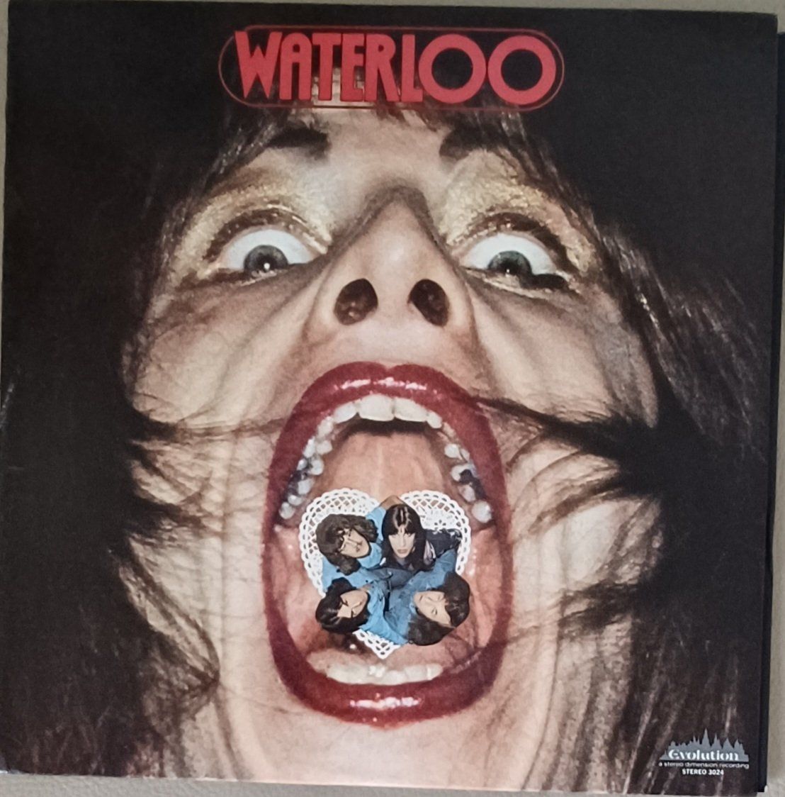 Dischi in vinile: WATERLOO / Prog Rock,  Psychedelic Rock 1974 US – Usato da Hägendorf venduto da Plattenhardt