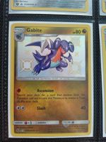 Shiny Gabite Hidden Fates