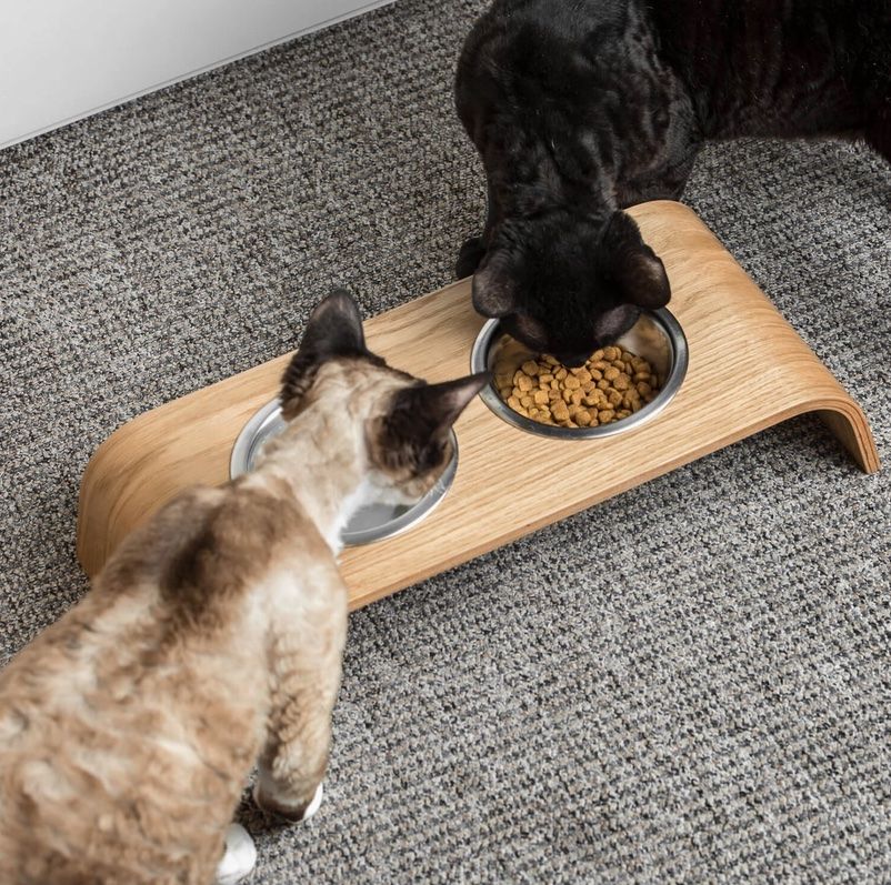 Mangimi: Futternapf Eiche mit 2 Näpfen Hund Katze Futterstation – Nuovo e nell'imballaggio originale da Sirnach venduto da XELOonlineGmbH 2