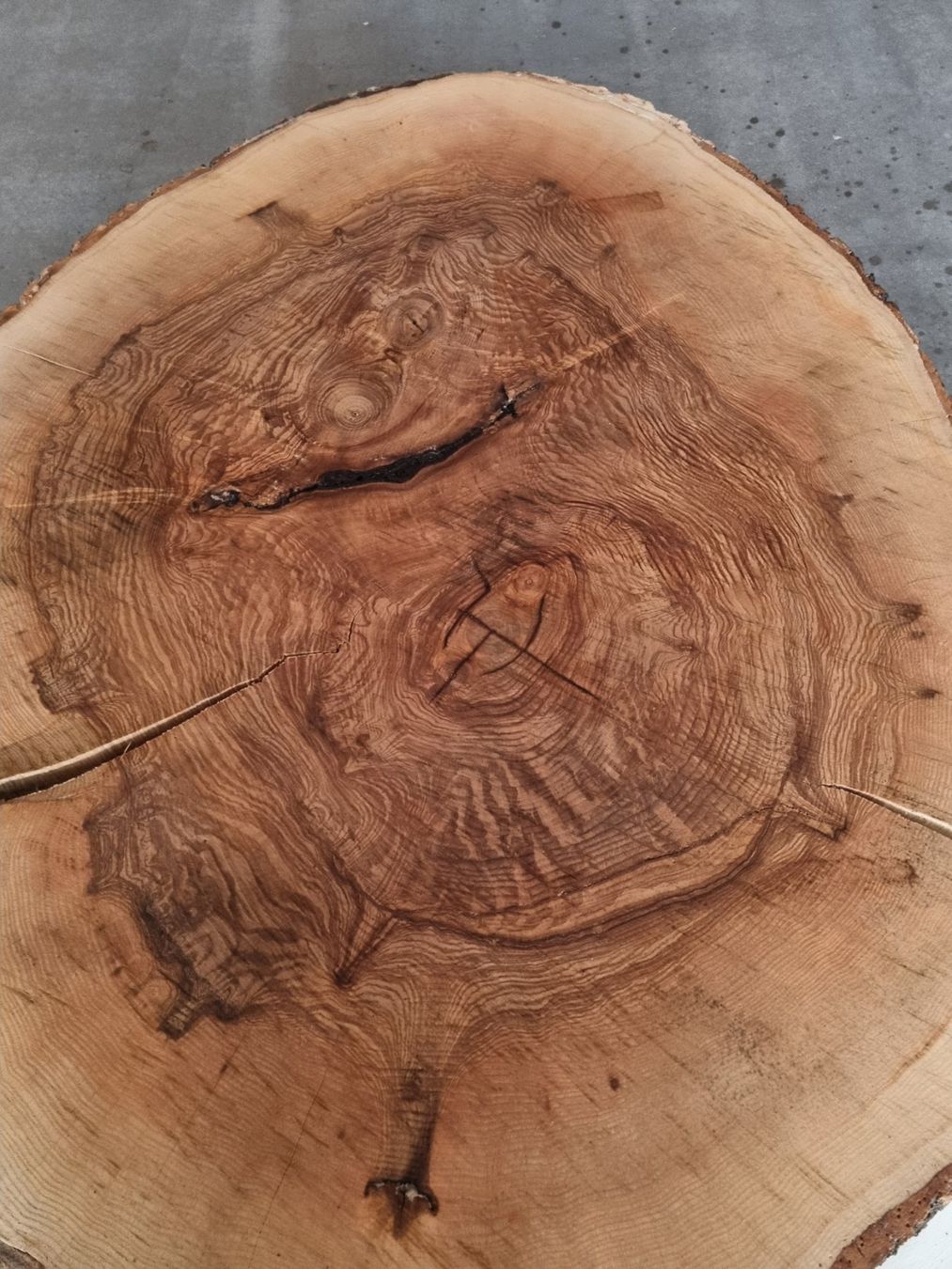 Holzartikel: Esche Baumscheibe Salontisch Baumstammtisch Couchtisch 12cm – Gebraucht aus Rheineck von Dein_Wunschholz 5