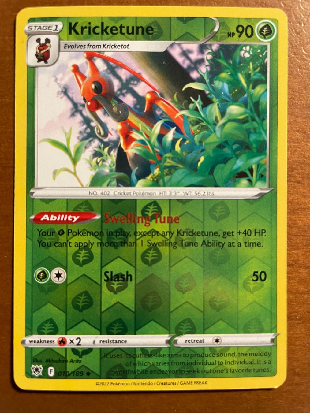 Pokémon Carte collezionabili: Pokemon Kricketune Reverse (Versand gratis) – Nuovo (secondo la descrizione) da Chur venduto da Angerson