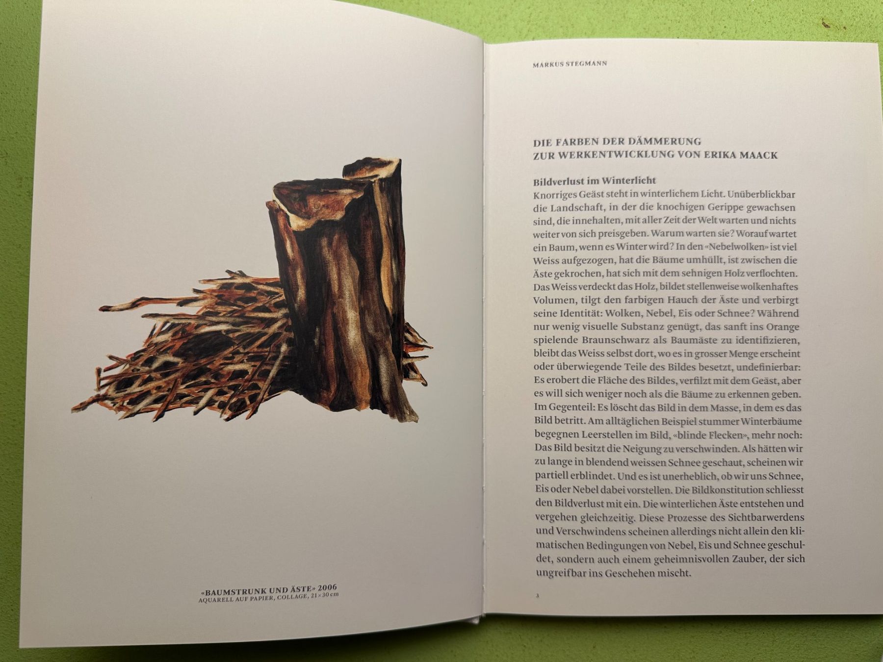 Libri: Markus Stegmann: Erika Maack. d/e. – Usato da Zürich venduto da allp 2
