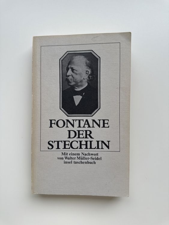 Fontane Der Stechlin | Kaufen Auf Ricardo