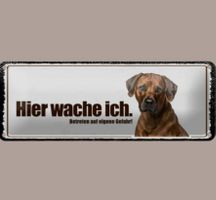 🔥 RHODESIAN RIDGEBACK Blechschild 🎀 27x10cm OVP 🔥