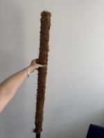 Kokosstab Rankhilfe