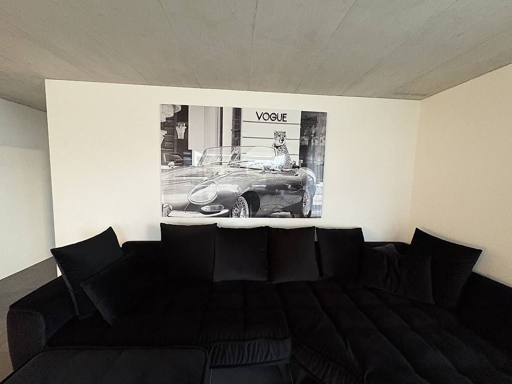 Foto & Immagini: KARE Bild Jaguar – Usato da Oberbüren venduto da noe_9jw9 1