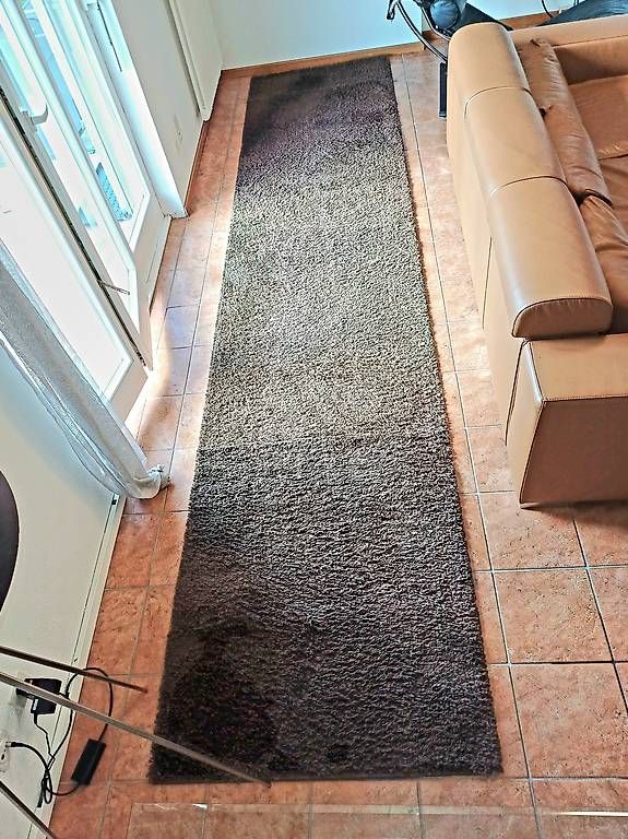 Tappeti: TAPPETO MARRONE PELO LUNGO – Usato da Agra venduto da ale_m56v 1