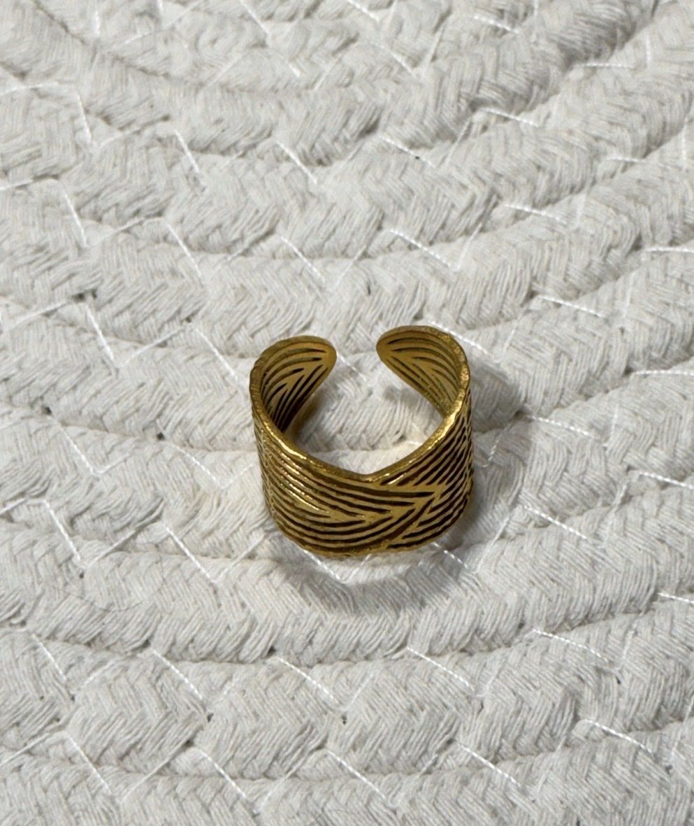 Anelli: Bague en acier inoxydable – Nuovo e nell'imballaggio originale da Châtel-St-Denis venduto da Montclair_Swiss 1