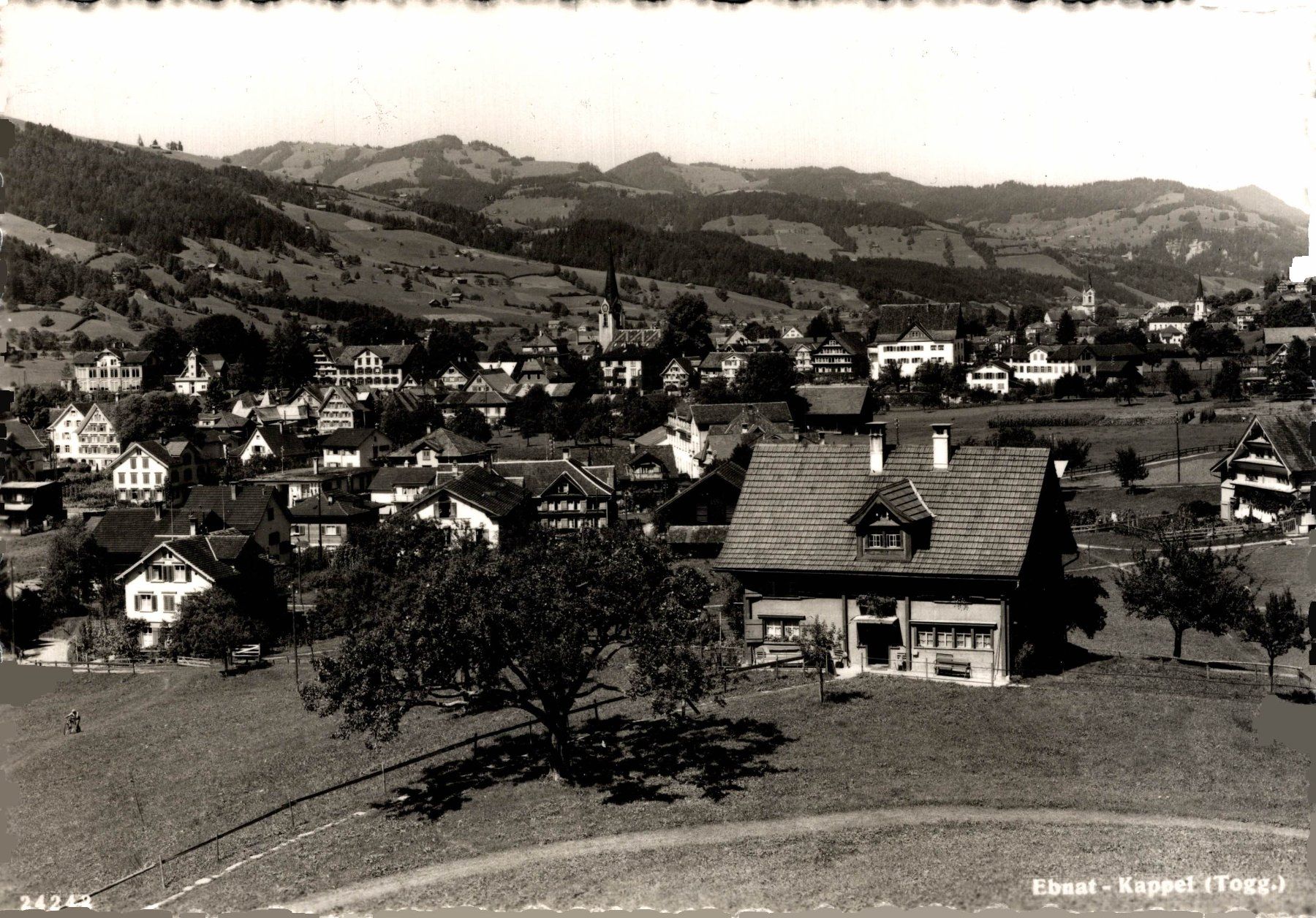 Cartoline postali: Ebnat-Kappel (Togg.) – Usato da Bronschhofen venduto da Astore