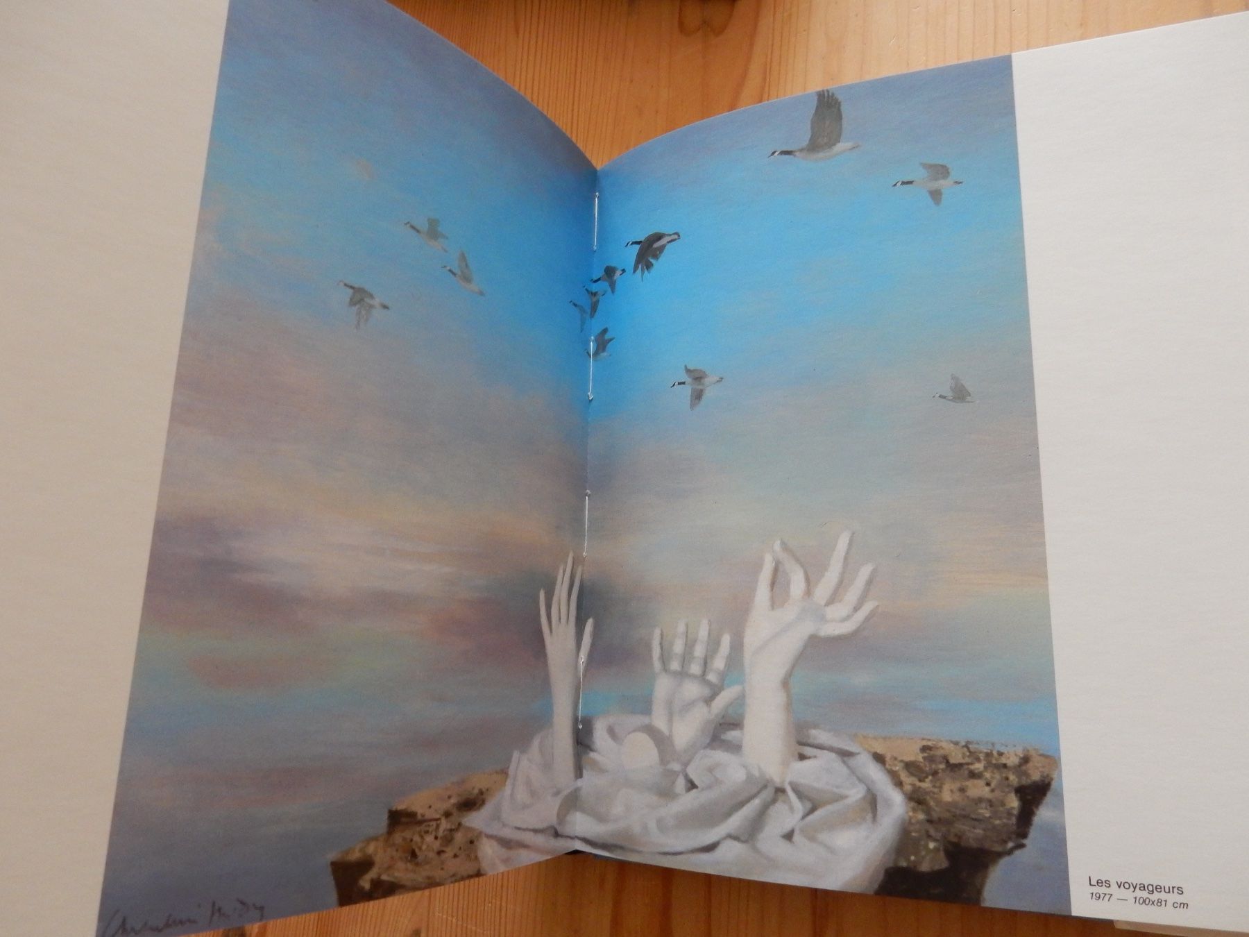 Libri: Buch Kunstbuch Katalog Roger Chapelain Midy Malerei – Usato da Jona venduto da JOberg_25 5