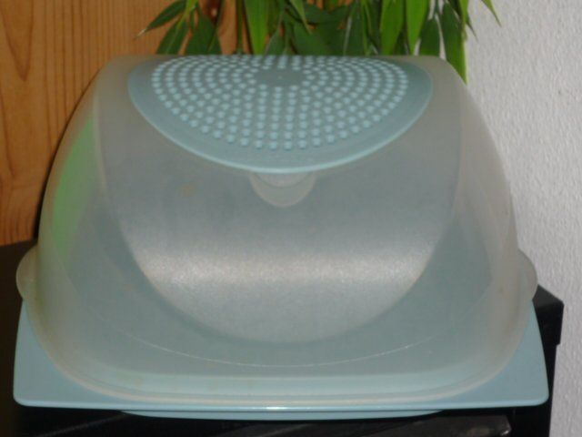 Tupperware Contenitori & Simili: TUPPERWARE CHEESMART MINI L. 20 CM. B. 20 CM. H. 8 CM. – Usato da St.Gallen venduto da Anso 4