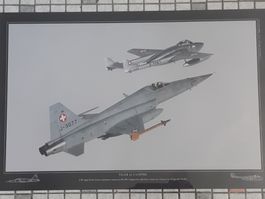 Tiger F-5E DH-100 Vampire Schweizer Luftwaffe