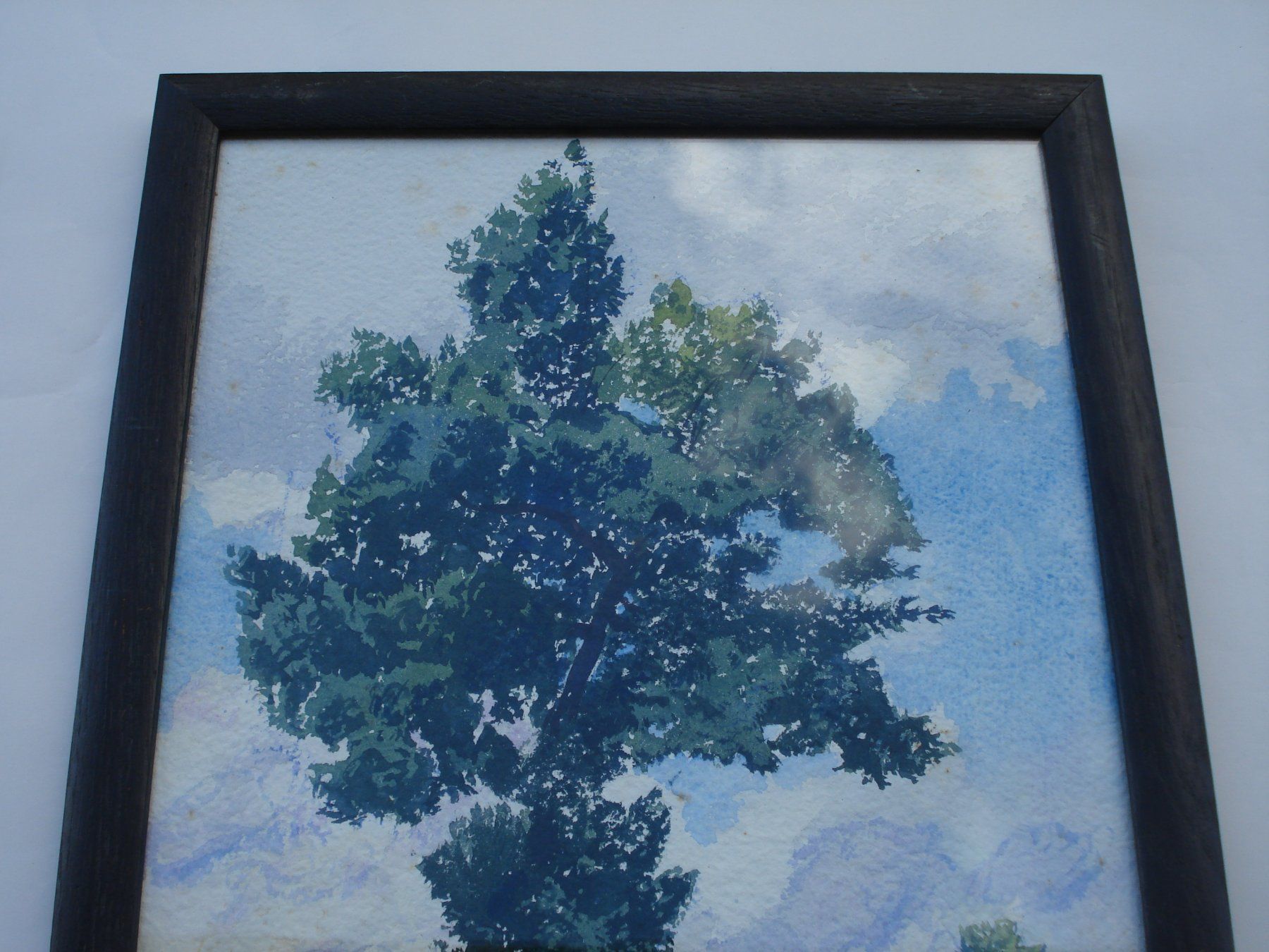 Dipinti: Plinio Colombi 1873-1951 – Usato da Basel venduto da art.basel 1