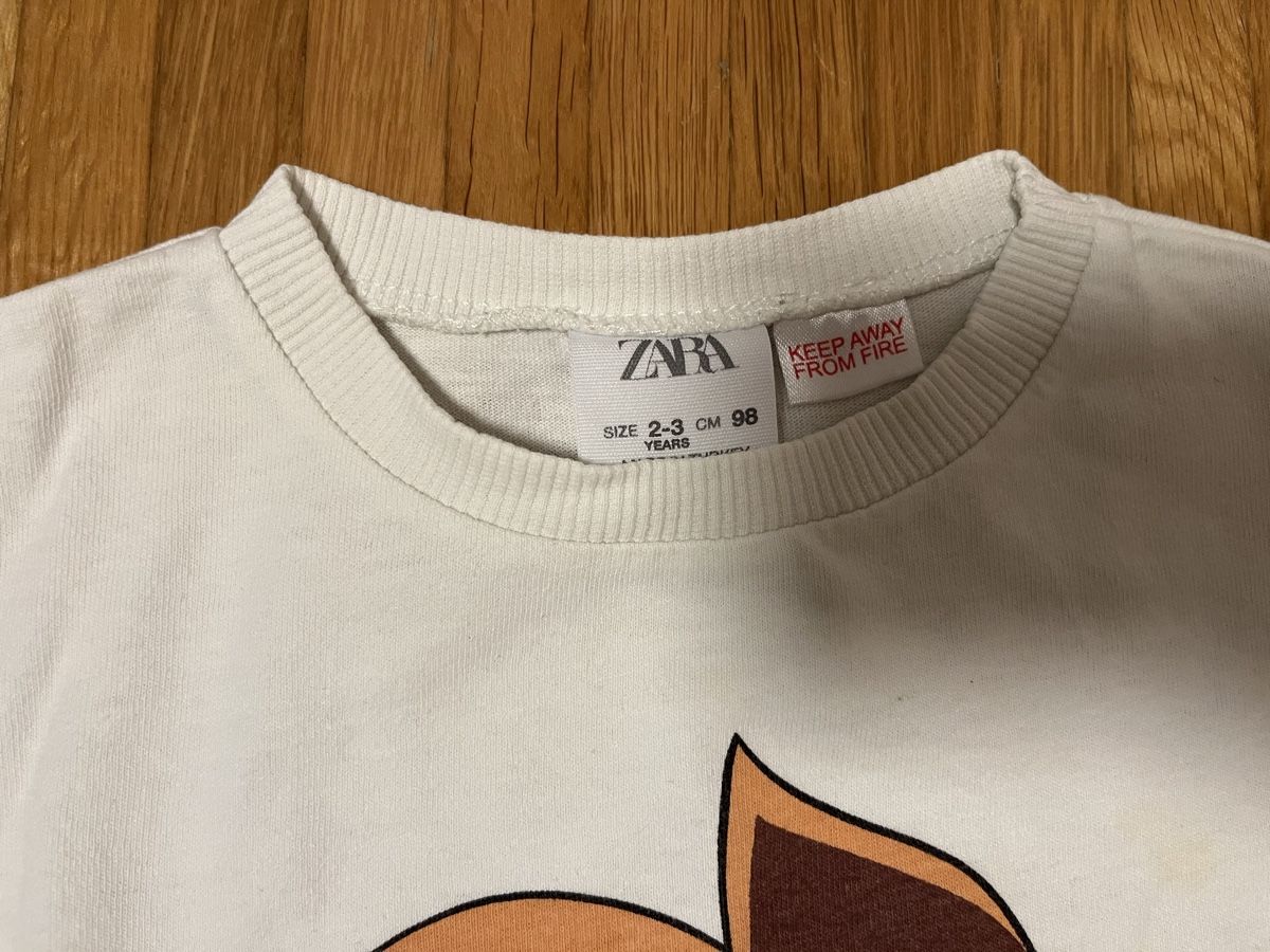 Zara Maglioni & Felpe: Zara Babypulli Gr. 98 – Usato da Jona venduto da Good_luck_ 3