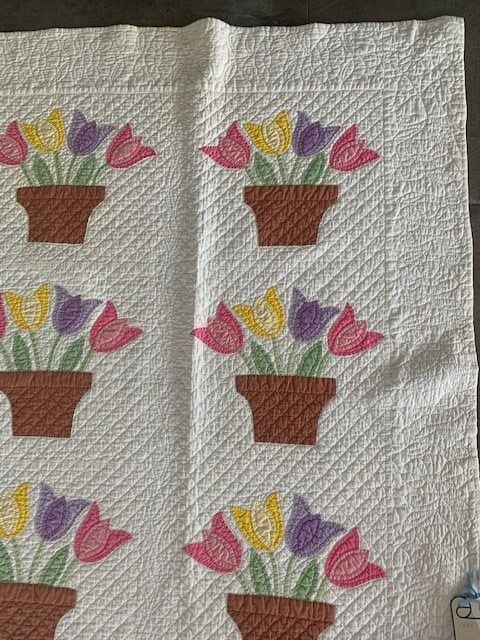 Coperte: Antique Quilt Tulips in Pot – Usato da Rudolfstetten venduto da Bungur 3