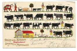 Gruss aus den Bergen  Alpaufzug Appenzeller Land Präge-Litho