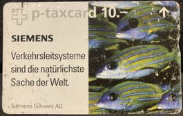 P-taxcard